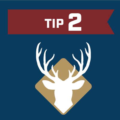 Tip-2.png